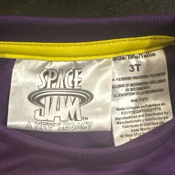 Space Jam Legacy Collection w/ Air Jordan 13 Retro TD Purple/Yellow - Picture 4 of 11